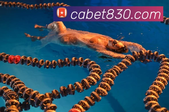 ca亚洲城全站App